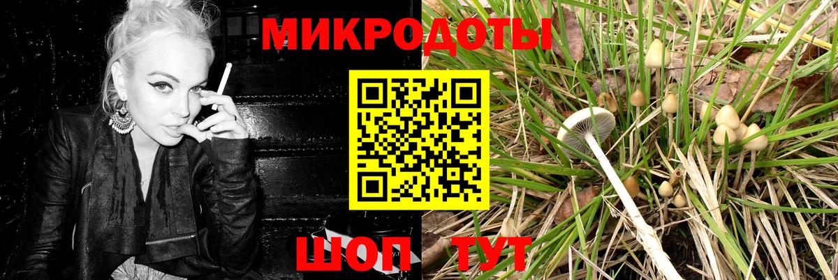 Галлюциногенные грибы мицелий  Вход с VPN  где можно купить   Галлюциногенные грибы ЛСД  Вологда 